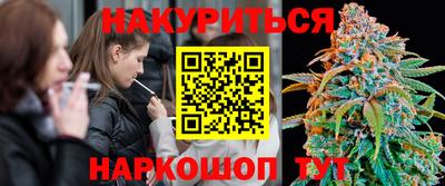 spice Моздок