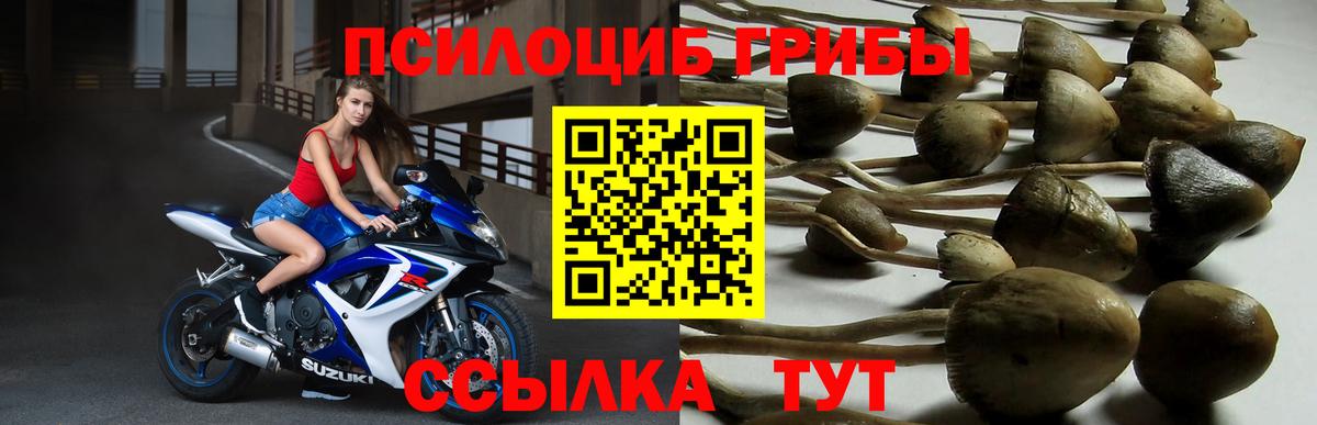 Псилоцибиновые грибы Magic Shrooms Усинск